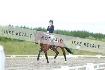 174661_kbb_01_R6II6555.JPG