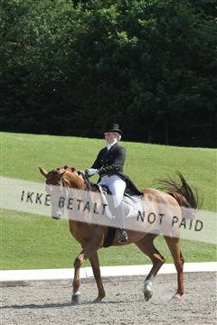 135676_sg_01_IMG_7768.JPG