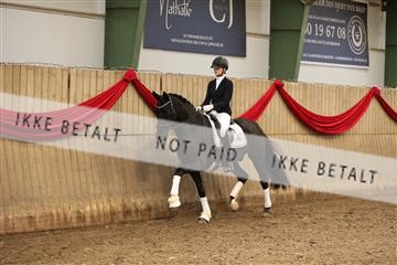 170266_mtp_01_3M5A0461.JPG
