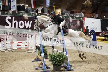175934_avh_01_5790.JPG