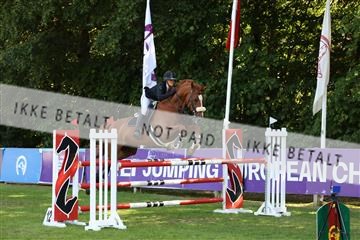 181805_mlm_02_R62_6454.JPG