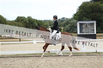 181894_mtp_03_R62_2862.JPG