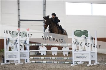 178124_avh_02_2965.JPG