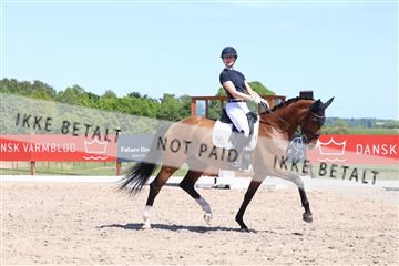 181449_bc_01R62_5803.JPG