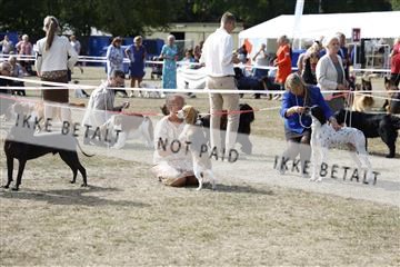 181848_kar_01__62_3932.JPG