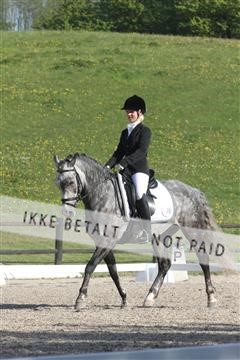 135086_sg_01_IMG_1760.JPG