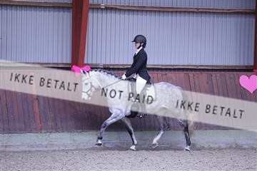 173883_mtp_01_3M5A0593.JPG