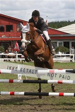 5925_ma_05_IMG_0956.JPG
