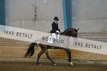 144288_abo_01__AB21944.JPG