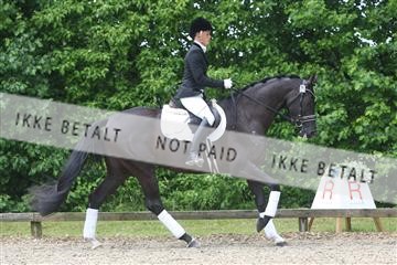 135518_ms_01_IMG_1351.JPG