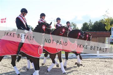 148862_sg_02_IMG_4283.JPG
