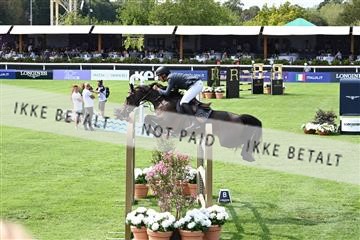 175339_akl_01_Z6D_0567.JPG