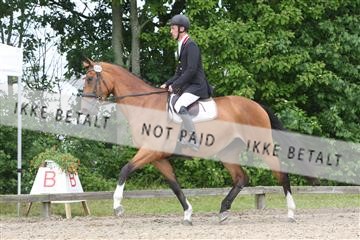 135518_ms_01_IMG_1460.JPG
