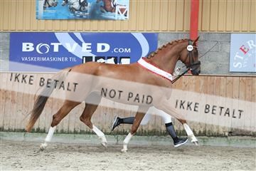 181867_mtp_01_R62_4284.JPG
