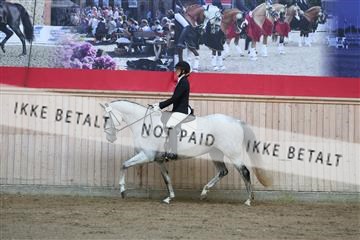 181887_mtp_02_R62_7429.JPG