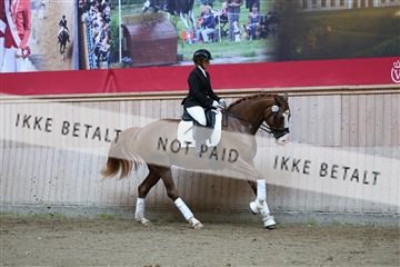 181887_mtp_02_R62_7334.JPG