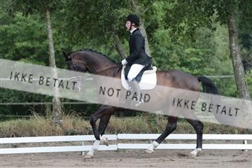 5925_sme_02_IMG_5986.JPG