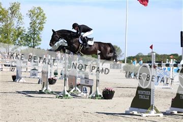 181436_avh_02_3684.JPG