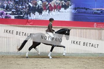 181887_mtp_04_R62_8639.JPG