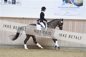 160111_nn_01__ESK1981.JPG