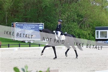 179330_avh_01_8317.JPG
