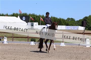 181449_bc_01R62_5594.JPG