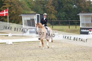 181894_mtp_03_R62_2979.JPG
