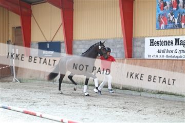 181868_mtp_01_R62_5065.JPG