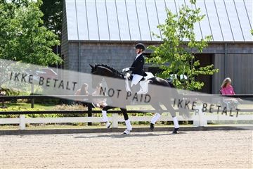 174806_jss_01_R6II0049.JPG