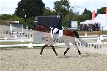 181894_mtp_05_R62_4735.JPG