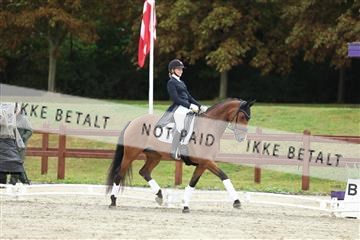 181923_mtp_03_R62_7926.JPG