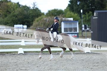 181894_mtp_05_R62_5150.JPG