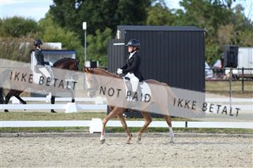 181894_mtp_05_R62_5081.JPG
