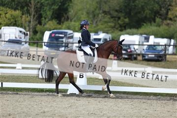 181894_mtp_05_R62_4759.JPG