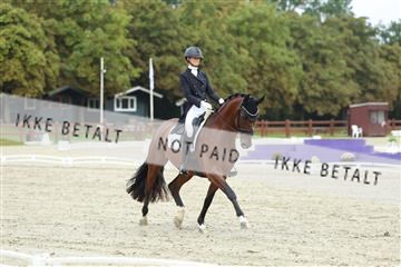 181923_mtp_03_R62_7790.JPG