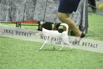 163793_bkn_01__BKN9072.JPG