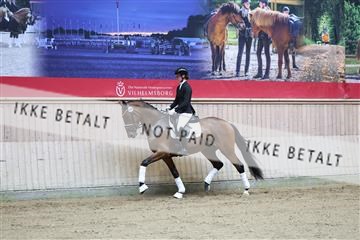 181887_mtp_04_R62_8352.JPG