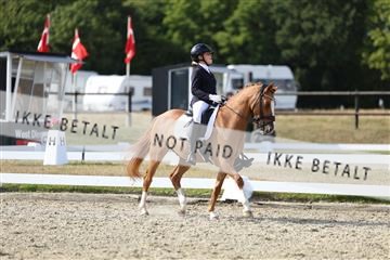 181894_mtp_05_R62_5016.JPG