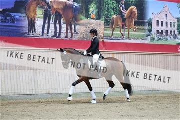 181887_mtp_04_R62_8277.JPG