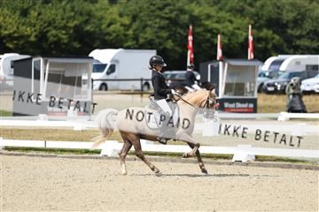 181894_mtp_05_R62_4077.JPG
