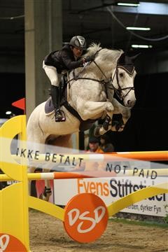 126407_sg_01_IMG_2181.JPG