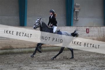 175800_kbb_01_R6II1177.JPG