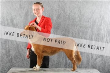 129608_le_ 02_0370.JPG