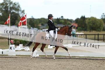 181894_mtp_03_R62_2926.JPG