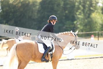 181894_mtp_02_R62_1936.JPG