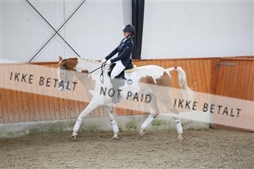 175681_avh_01_R62_0723.JPG