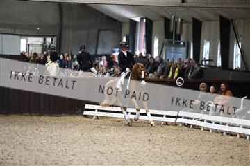 181243_avh_01_1898 (1).JPG