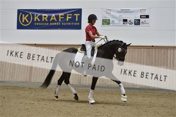 160111_nn_01__ESK2157.JPG