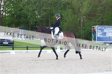 179330_avh_01_4913.JPG
