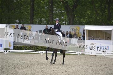 181449_kbb_04_Z094095.JPG